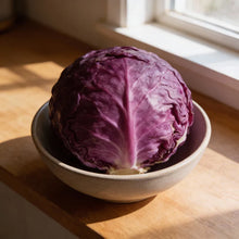 Ole Timey Blue Collards Vegetable Seeds