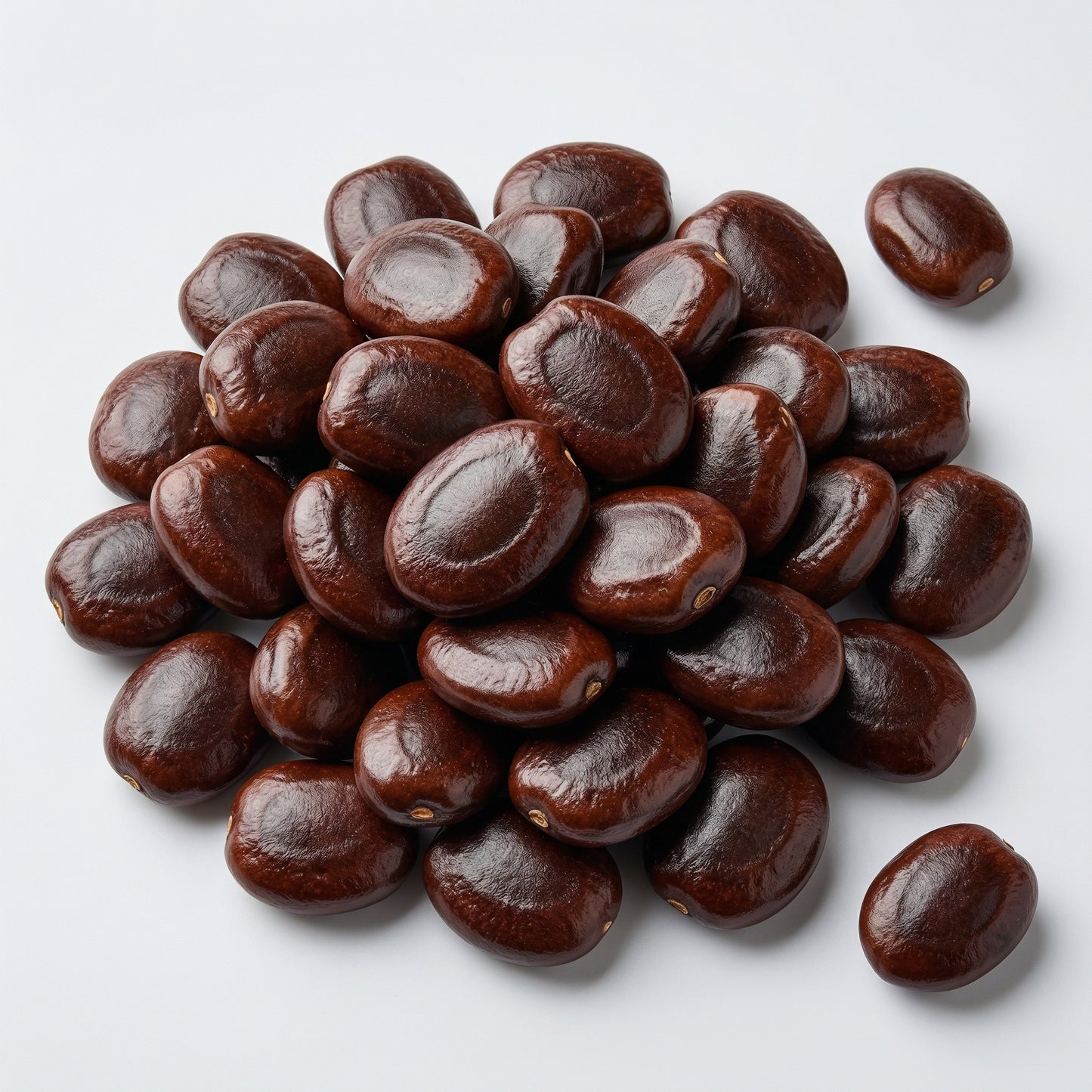 Tamarindus indica Seeds – Exotic Tamarind Fruit Tree Seeds for Home Gardens