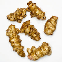 Jerusalem Artichoke Live Tubers – Fresh Sunchoke Bulbs for Planting & Edible Harvest