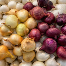 Mix Onion Sets Bulbs – Yellow Red & White Onion Bulbs for Storage