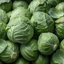 Cabbage Seeds Vegetable Plant for Garden Growing