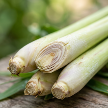 Lemongrass Herb Seeds