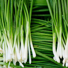 Garlic Chives Seeds – Heirloom Herb Seeds for Kitchen Gardens