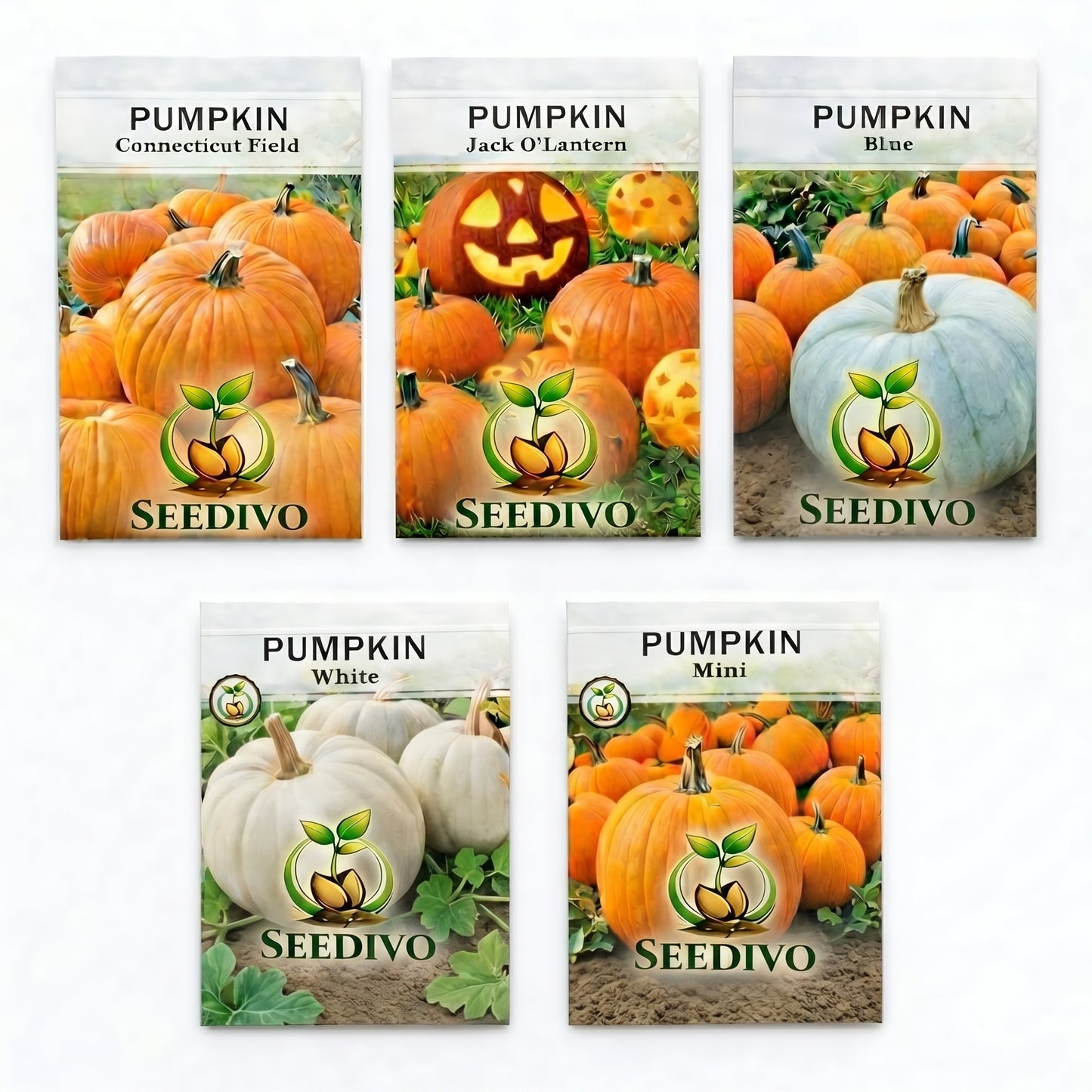Pumpkin Seeds Mix – Heirloom Non-GMO Edible and Decorative Pumpkin Seeds for Home Garden | Mixed Variety Open-Pollinated Pumpkin Seeds for Raised Beds, Garden Plots and Containers