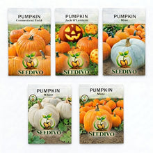 Pumpkin Seeds Mix – Heirloom Non-GMO Edible and Decorative Pumpkin Seeds for Home Garden | Mixed Variety Open-Pollinated Pumpkin Seeds for Raised Beds, Garden Plots and Containers