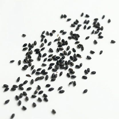 Platycodon Balloon Bellflower Seeds – Heirloom Perennial Flower Mix