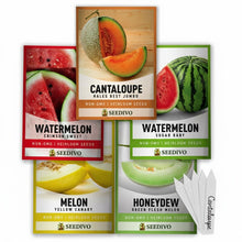 Melon Seeds 5 Variety Mix – Heirloom Vegetable Seeds for Home Gardens