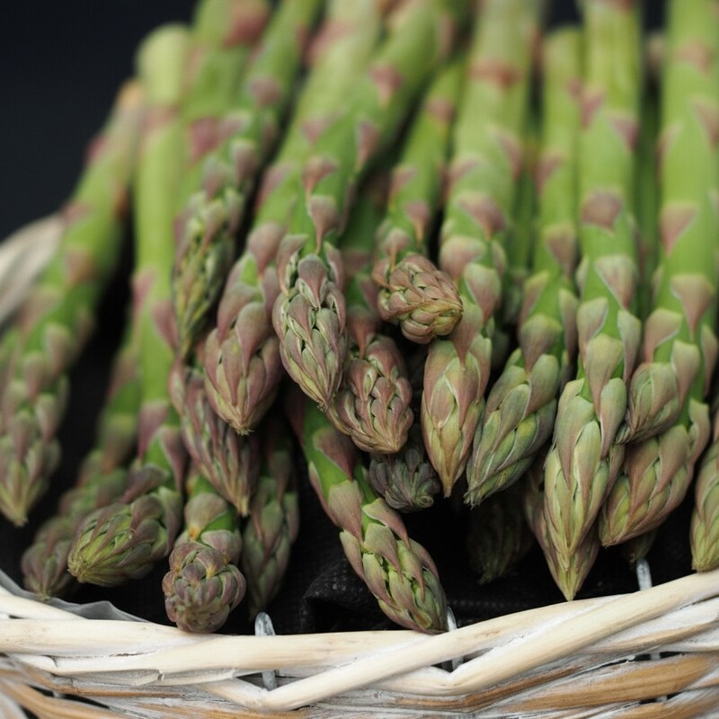 Asparagus Seeds – Heirloom Asparagus Vegetable Seeds for Home Gardens