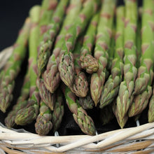Asparagus Seeds – Heirloom Asparagus Vegetable Seeds for Home Gardens