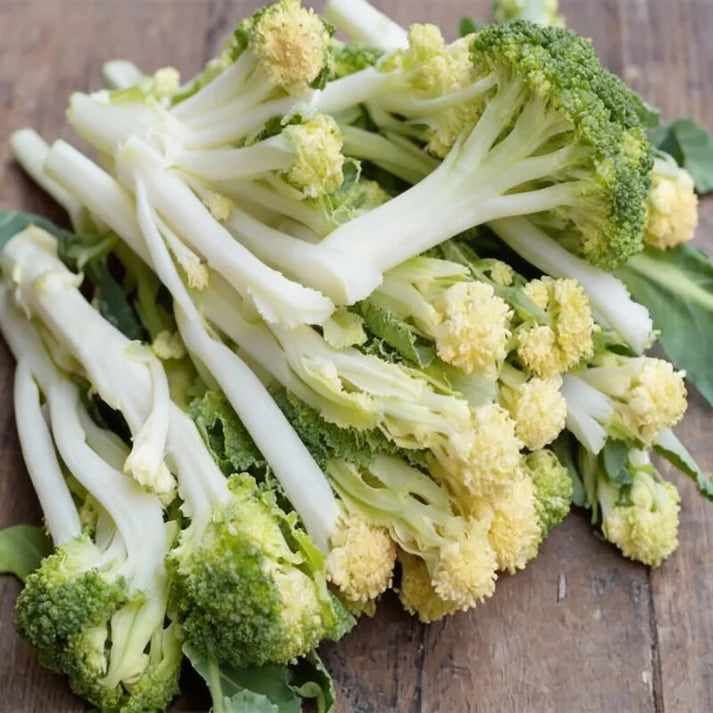 White Sprouting Broccoli Seeds