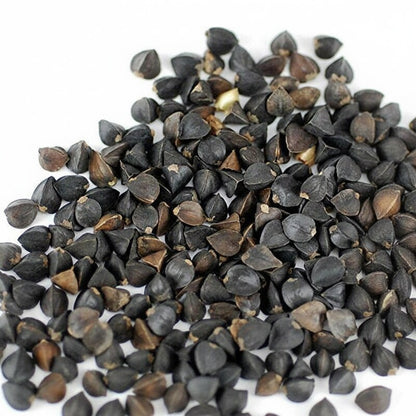 Buckwheat Seeds – Annual Fast-Growing Cover Crop Seeds for Green Manure