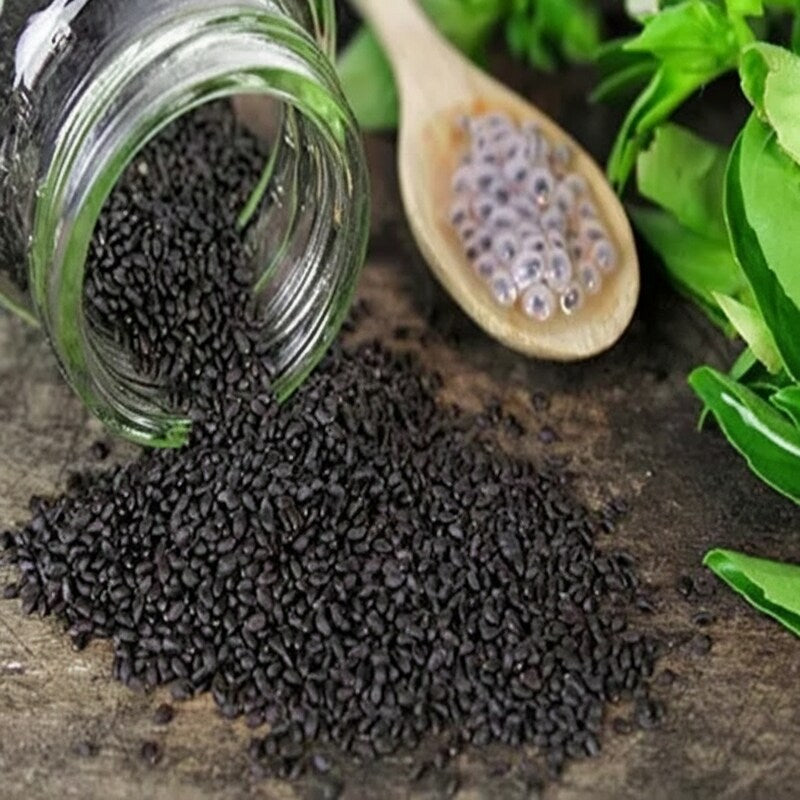 Boxwood Basil Seeds – Compact Heirloom Culinary Herb Seeds for Kitchen Gardens