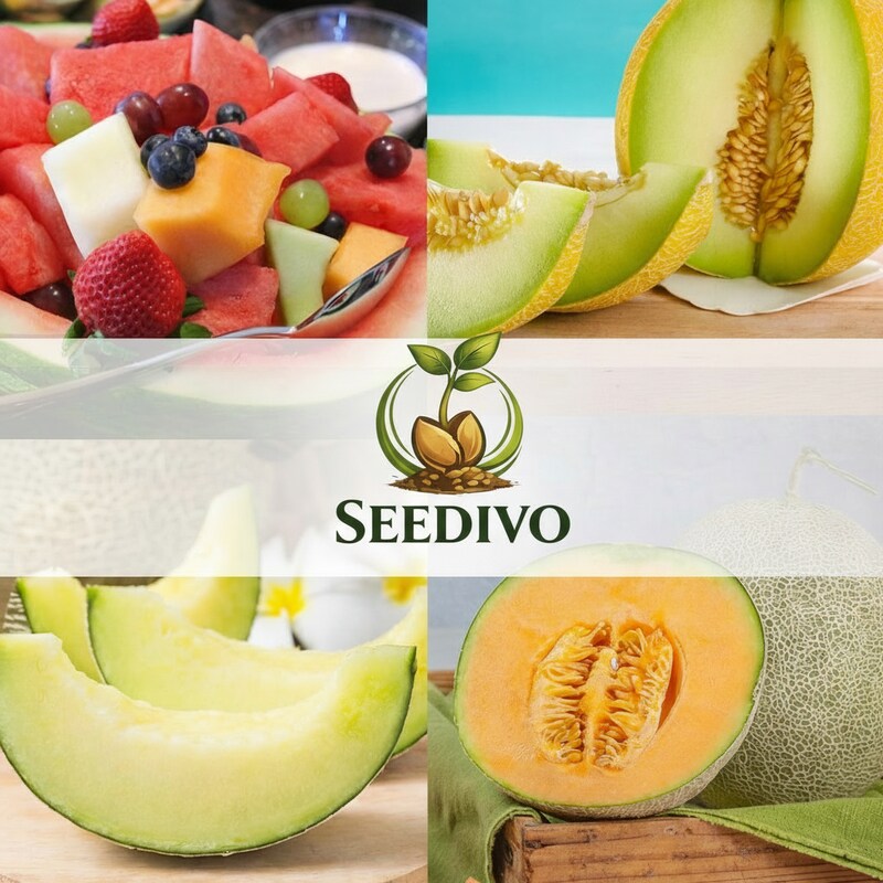 Melon Seeds 5 Variety Mix – Heirloom Vegetable Seeds for Home Gardens
